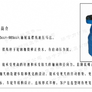 BMH系列交错油口乐动网-乐动(中国)马达