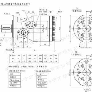BMH系列交错油口乐动网-乐动(中国)马达